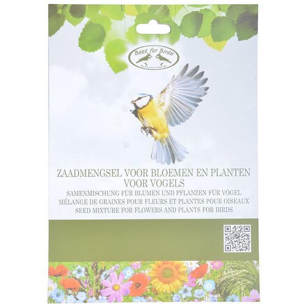 Semences pour fleurs attirant les oiseaux