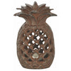 Ananas lantaarn