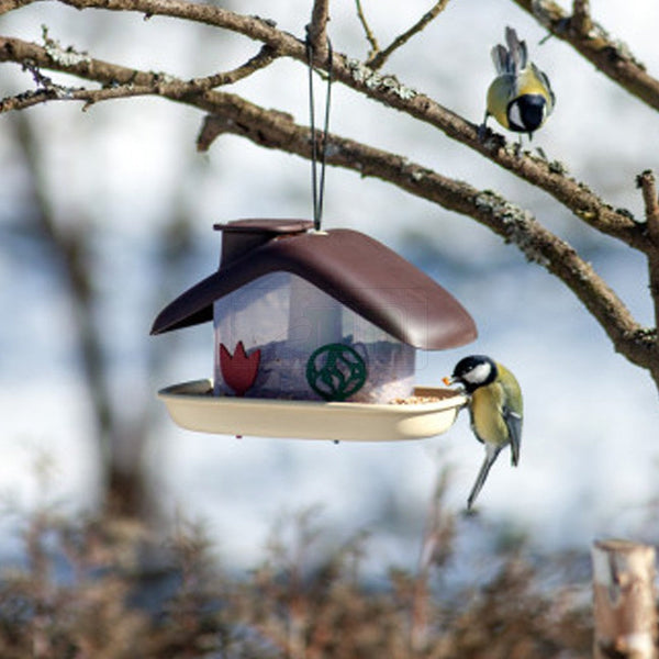 Maison d'alimentation Domek Brown