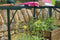 Eden - Burford 66 groen