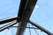 Eden - Birdlip 84 groen