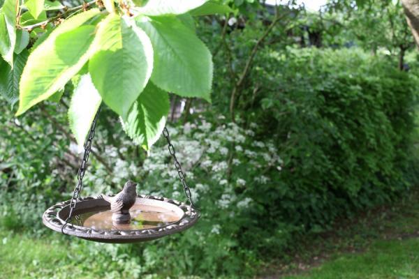 Esschert Design - Bain d'oiseau suspendu