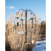 Bird Gift Station d'alimentation complète