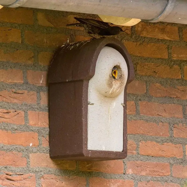 Nestkast spreeuw - 45mm