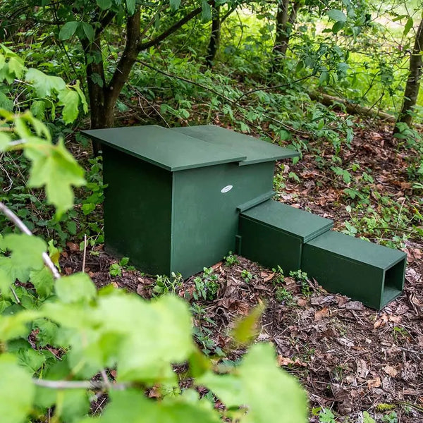 Maison de hérisson de luxe XXL