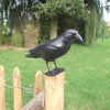 Design Esschert - Corbeau épouvantail
