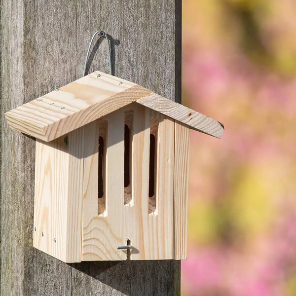 Kit de construction de la maison des papillons Dana 