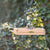Vogelbescherming - Hangede voedertafel Aarhus