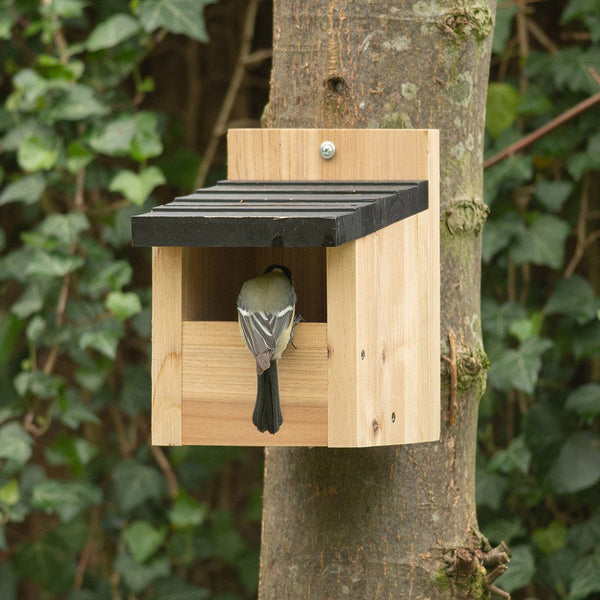 Roodborst Nestkast Viborg Zwart Dak | Vogelbescherming