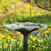 Bain d'oiseaux Silbersee