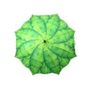 Feuilles de bananier parapluie