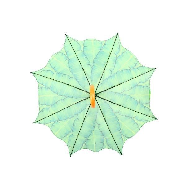 Feuilles de bananier parapluie