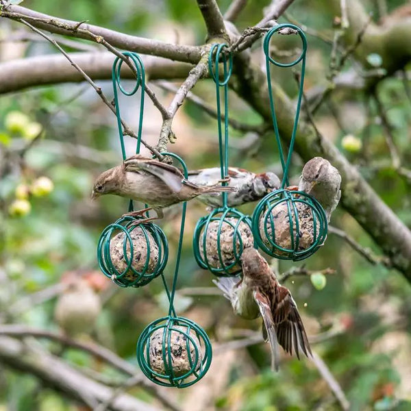 Pelle et support pour boules de graisse Lima