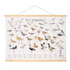 Poster mural Oiseaux des Wadden