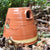 Andalusische Hommel nest