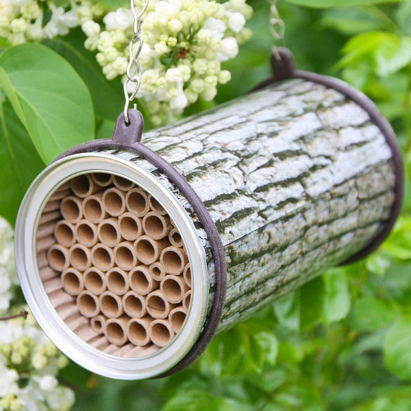 le nid d'abeille