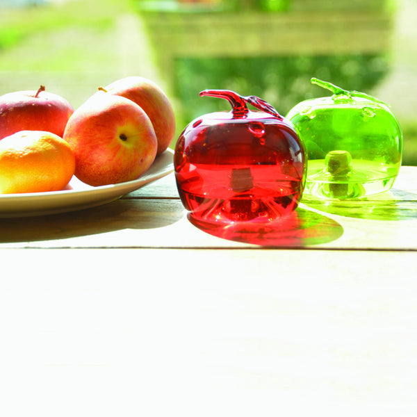 Pomme piège à mouches des fruits