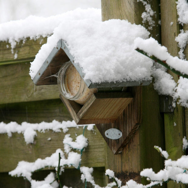 maison de beurre de cacahuète