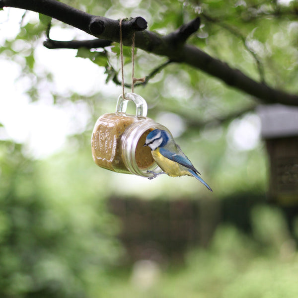 Tasse de jardin au beurre de cacahuètes Bird