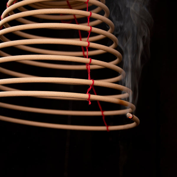 Spirale de citronnelle S