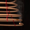 Spirale de citronnelle L
