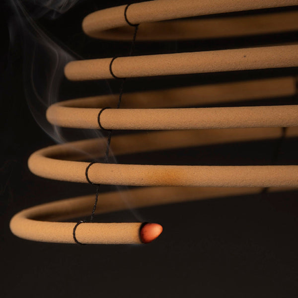 Spirale de citronnelle L