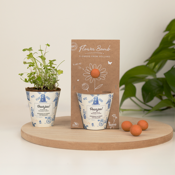 Grow kit "Voor jou!" met Hollandse Mix Zaadbommetje