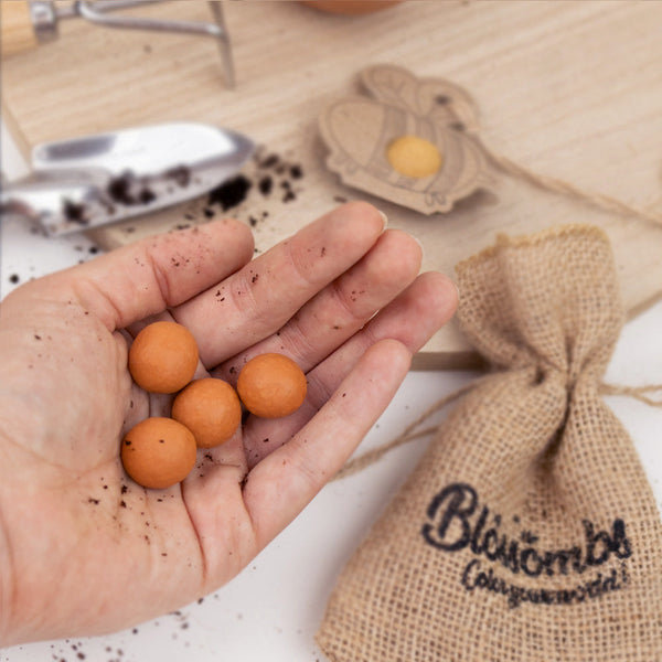 Gift Box Small "Voor jou!" met 7 Hollandse Mix Zaadbommetjes