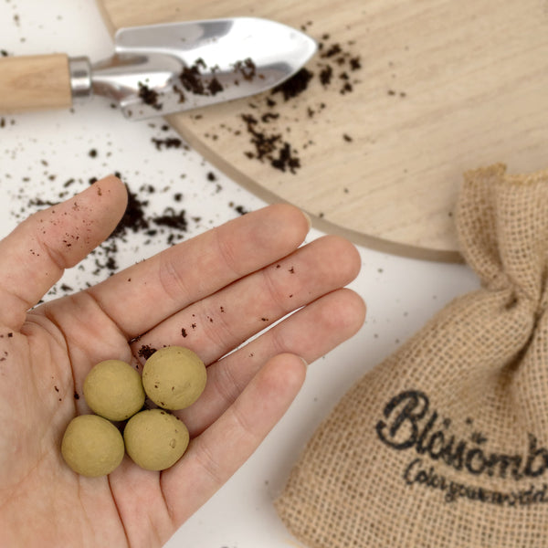Grow kit "Bedankt" met Tuin- en Keukenkruiden Mix Zaadbommetje
