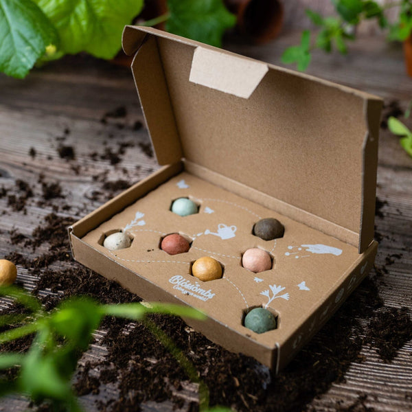 Blossombs - Coffret cadeau petit