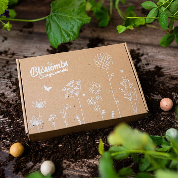 Blossombs - Coffret cadeau petit