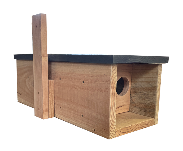 Petit placard chouette