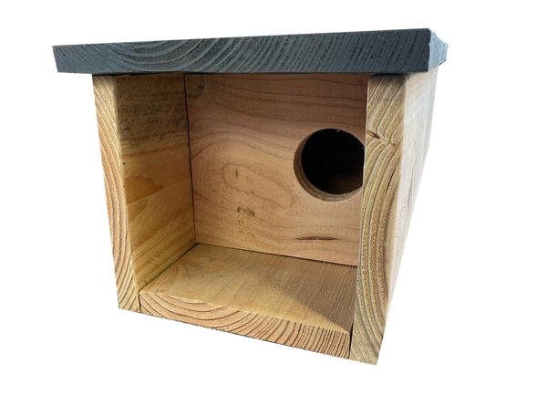 Petit placard chouette