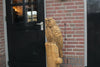 Chouette sculpture bois sur tronc
