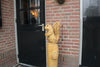 Houtsculptuur eekhoorn op stam