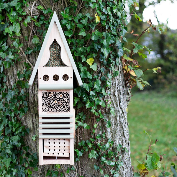 Centre d'étude des insectes