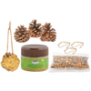 Nourriture pour oiseaux à faire soi-même