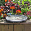 Bain d'oiseaux Oasis d'Aristote