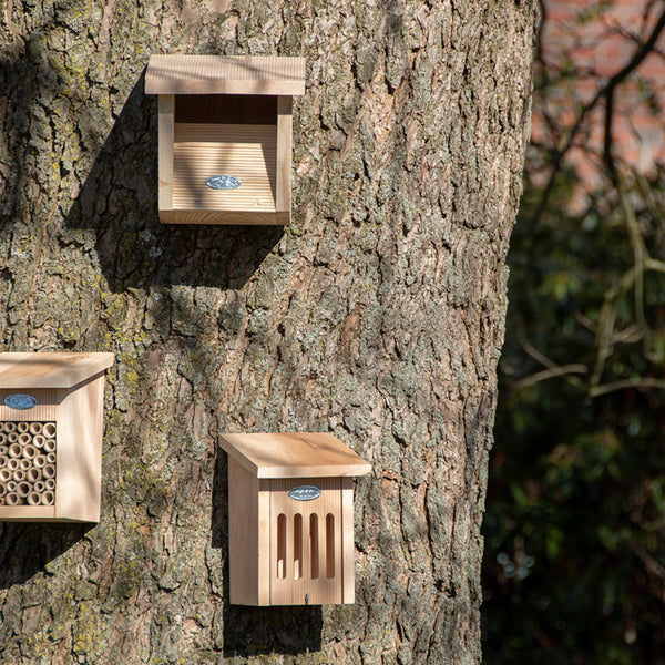 Roodborst Nestkast in Cadeaudoos | Esschert Design – foto 4