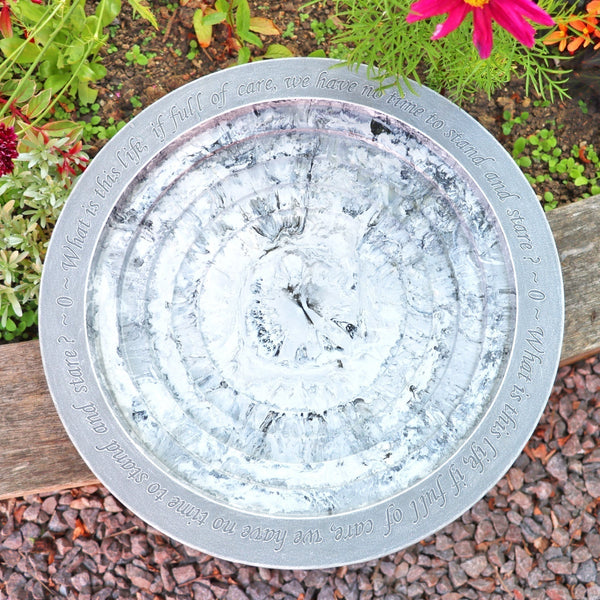 Bain d'oiseaux Shenstone