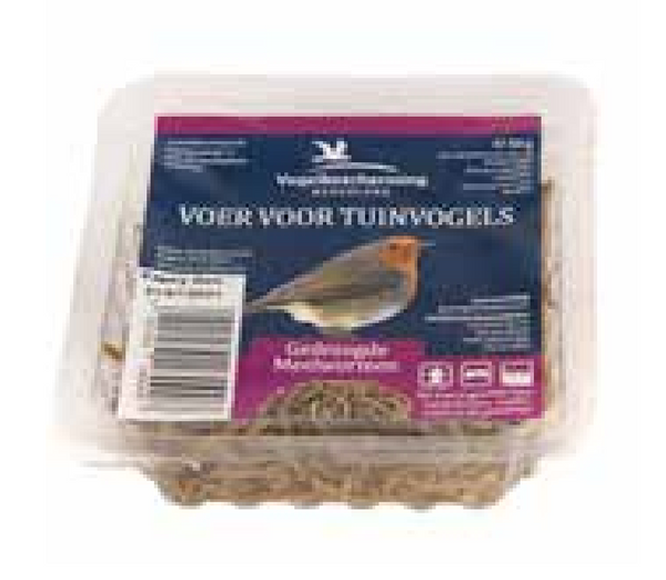 Protection des oiseaux - Vers de farine séchés