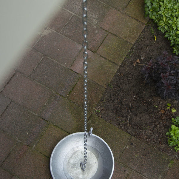 Chaîne de pluie avec bain d'oiseau
