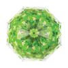 couronne d'arbre parapluie