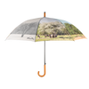 parapluie 4 saisons