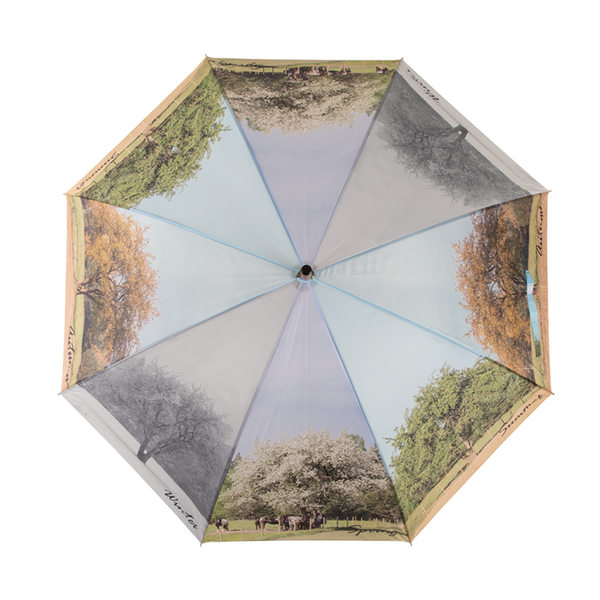 parapluie 4 saisons