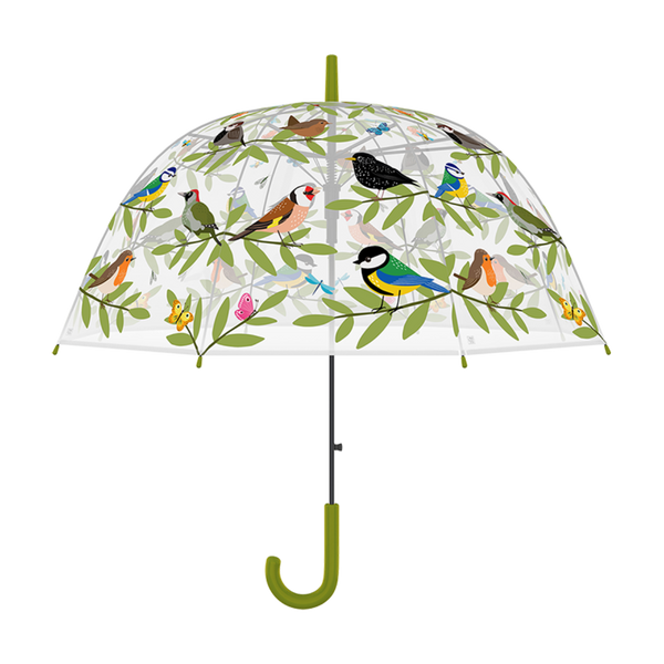 Parapluie club oiseau transparent