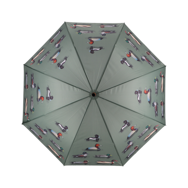 Races de canards parapluie