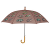Espèce de grenouille parapluie