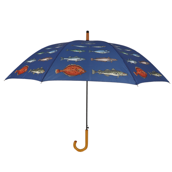 Espèces de poissons parapluie