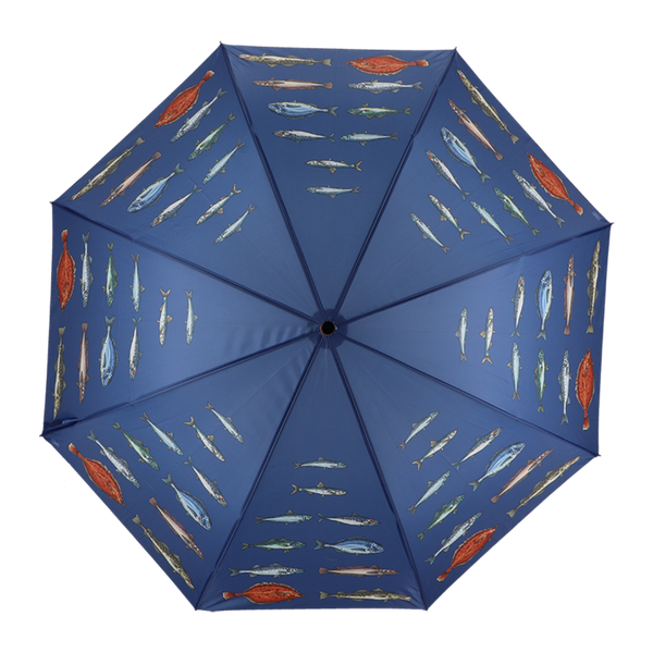 Espèces de poissons parapluie